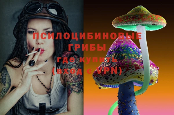 ГАЛЛЮЦИНОГЕННЫЕ ГРИБЫ Балахна